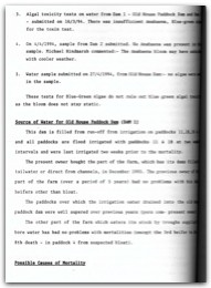 1994 Page 135